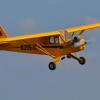 Le Piper Cub de Damien C