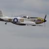 Le Mustang P-51D d'Alain G