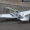 Le Mustang P-51D Big Beautifull Doll de Damien C